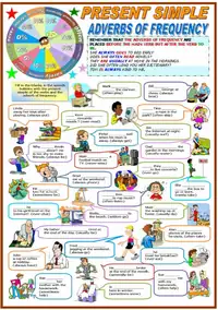 Frequency Adverbs