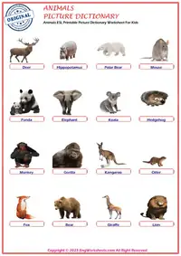 Animals
