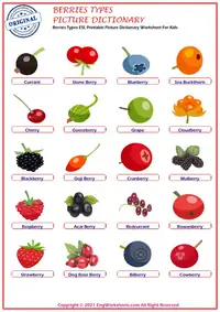 Berries Types