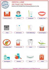 Dental Care