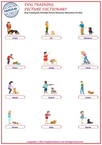 Dog Training