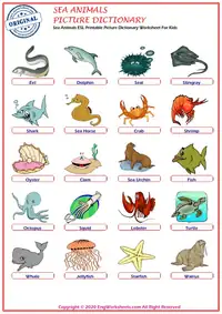 Sea Animals