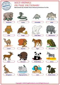 Wild Animals