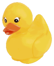 rubber duck