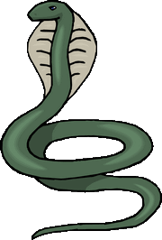 cobra