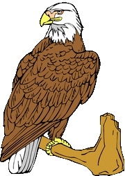 eagle