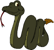 rattle snake