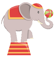 elephant show