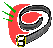 belt