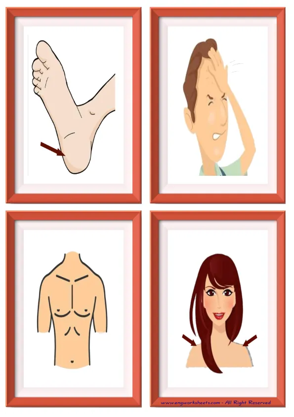 Quarter page ESL Flashcard without words containing Body Parts picture for kids and teachers. Worksheet Preview