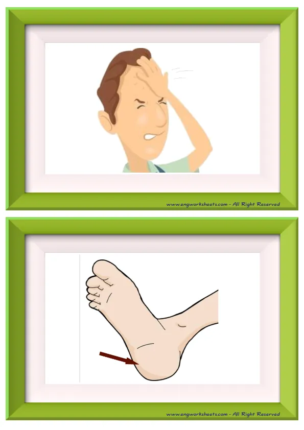 Half page ESL Flashcard without words containing Body Parts picture for kids and teachers. Worksheet Preview