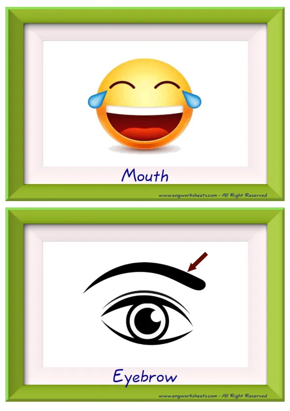 Half page ESL Flashcard together with words containing Body Parts picture for kids and teachers.