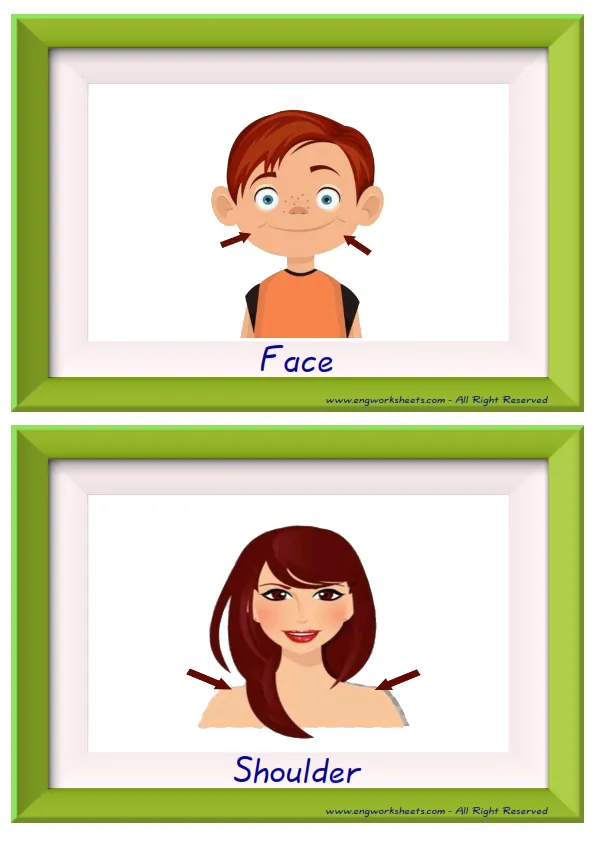 Half page ESL Flashcard together with words containing Body Parts picture for kids and teachers. Worksheet Preview