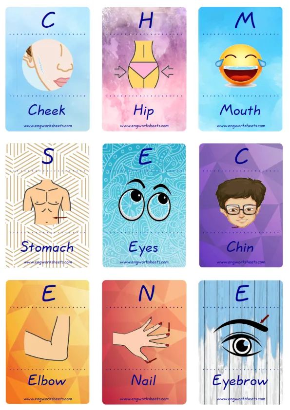 Mini size enjoyable ESL Flashcard Body Parts for kids and teachers.