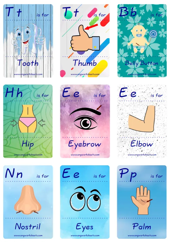 Mini size ESL Flashcard Body Parts for kids and teachers.