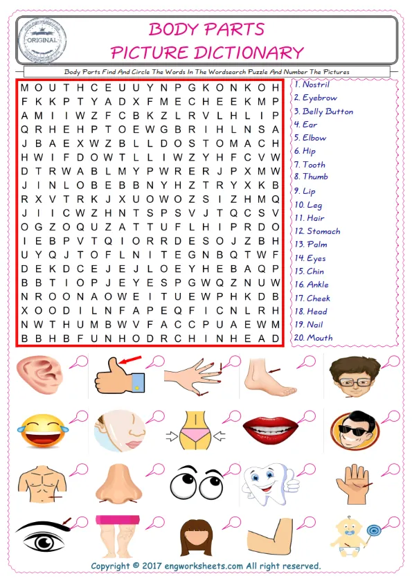 ESL wordsearch worksheets for kids, find Body Parts words in the word wordsearch write its number on its picture English worksheet. Worksheet Preview