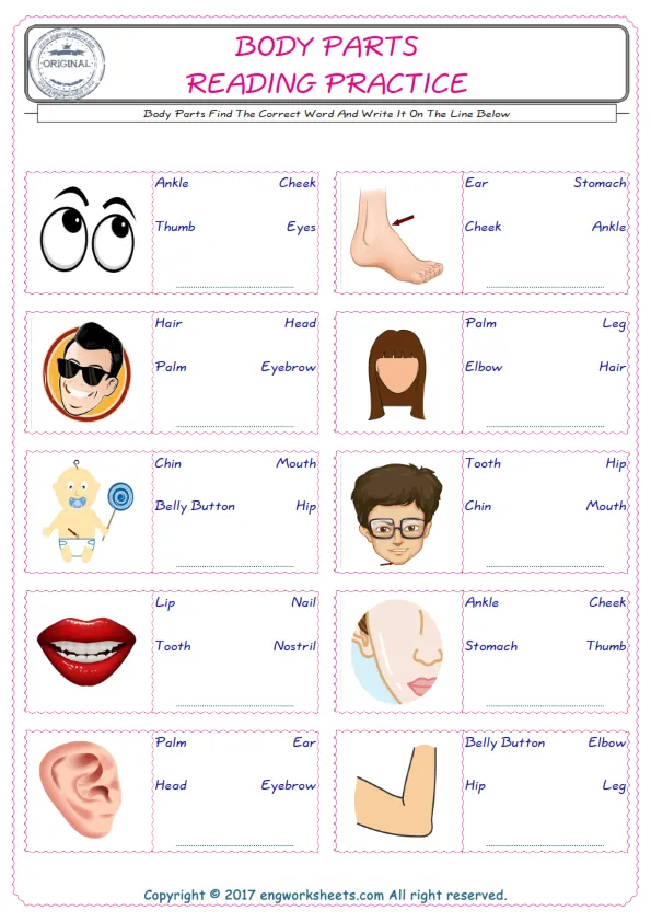 Check the picture of the Body Parts for kids ESL worksheet for supplying the correct one among three words into the blank place.