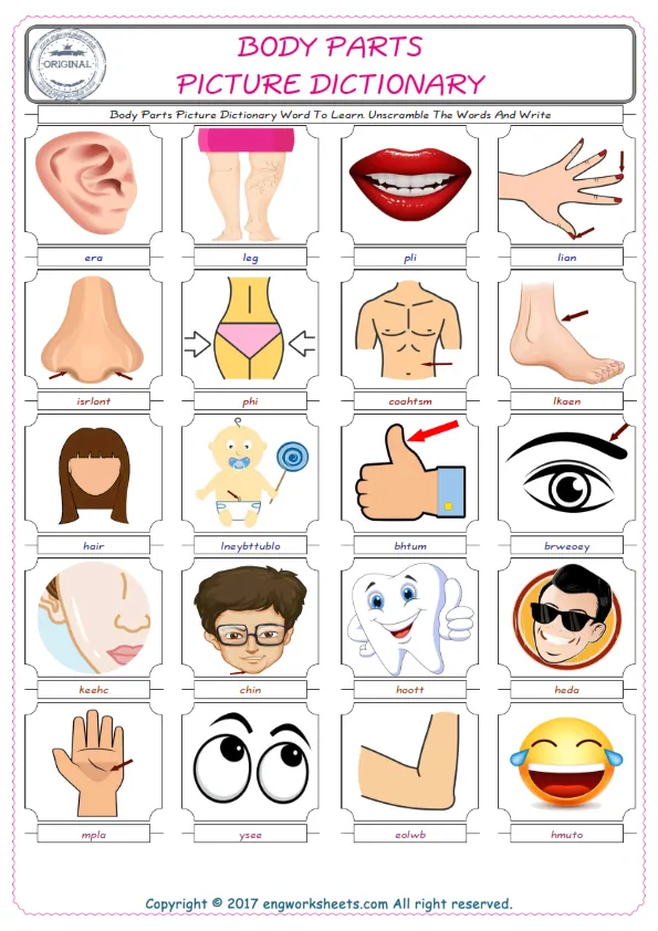 Body Parts ESL Worksheets For kids, the exercise worksheet of finding the words given complexly and supplying the correct one. Worksheet Preview