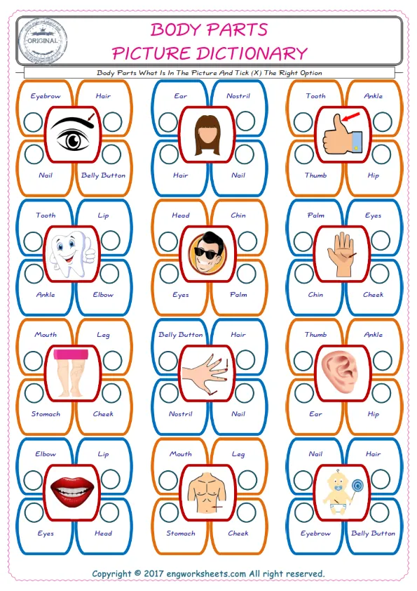 check the picture, mark the correct option amongst the given Body Parts words English worksheet for kids Worksheet Preview