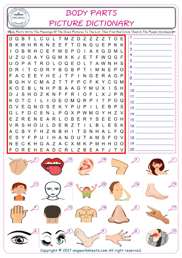 For kids, check the picture of Body Parts find, and write the word and find it in the word puzzle ESL printable worksheet. Worksheet Preview