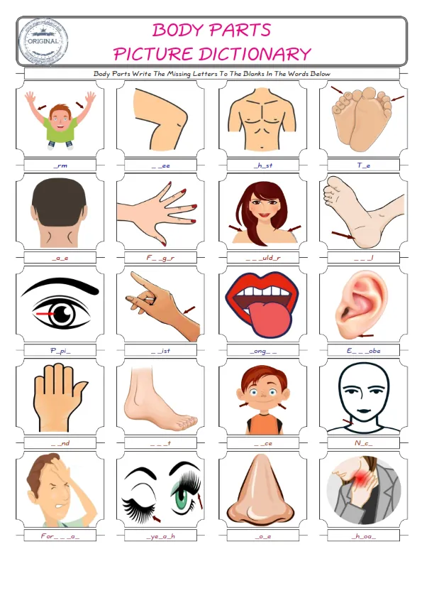 Body Parts Words English worksheets For kids, the ESL Worksheet for finding and typing the missing letters of Body Parts Words