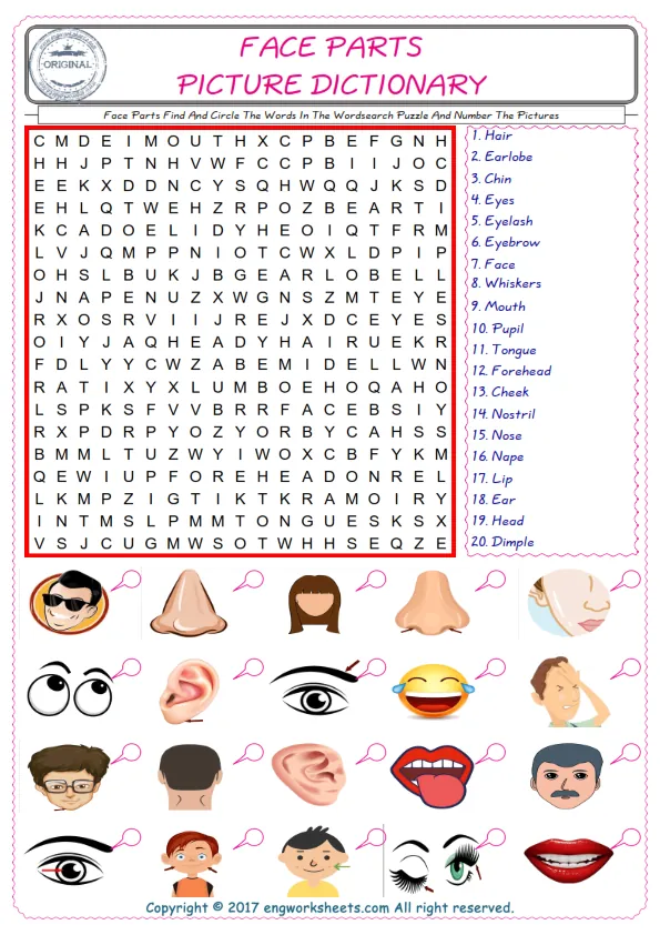 ESL wordsearch worksheets for kids, find Face Parts words in the word wordsearch write its number on its picture English worksheet. Worksheet Preview
