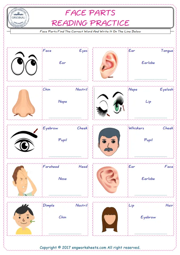 Check the picture of the Face Parts for kids ESL worksheet for supplying the correct one among four words into the blank place. Worksheet Preview