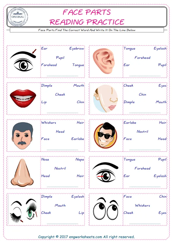 Check the picture of the Face Parts for kids ESL worksheet for supplying the correct one among five words into the blank place. Worksheet Preview