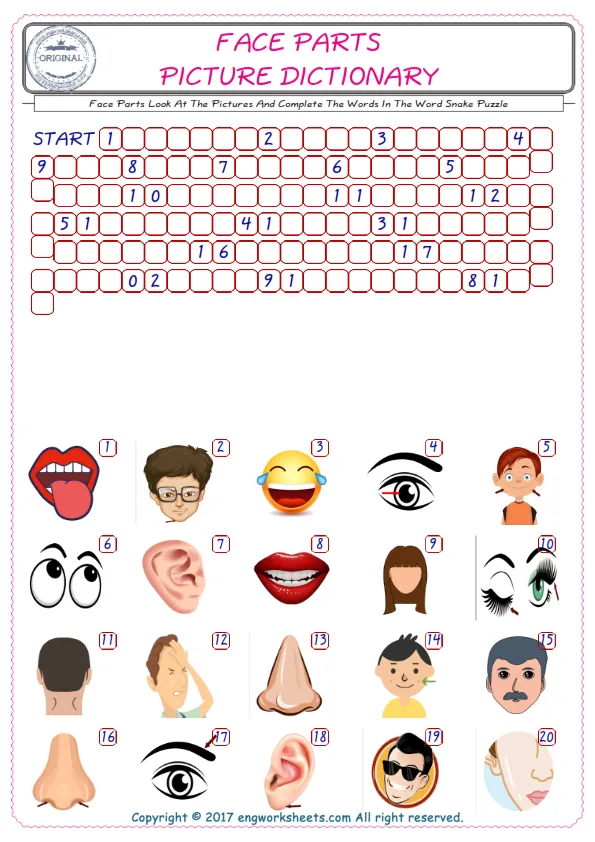 Check the Illustrations of Face Parts english worksheets for kids, and Supply the Missing Words in the Word Snake Puzzle ESL play. Worksheet Preview