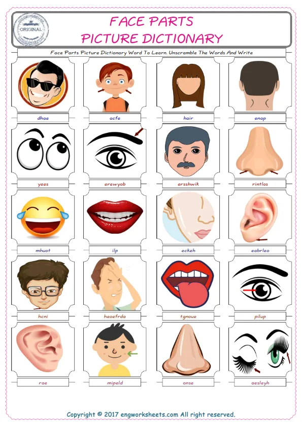 Face Parts ESL Worksheets For kids, the exercise worksheet of finding the words given complexly and supplying the correct one. Worksheet Preview
