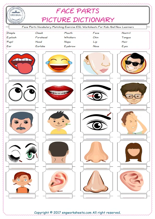 Face Parts for Kids ESL Word Matching English Exercise Worksheet. Worksheet Preview