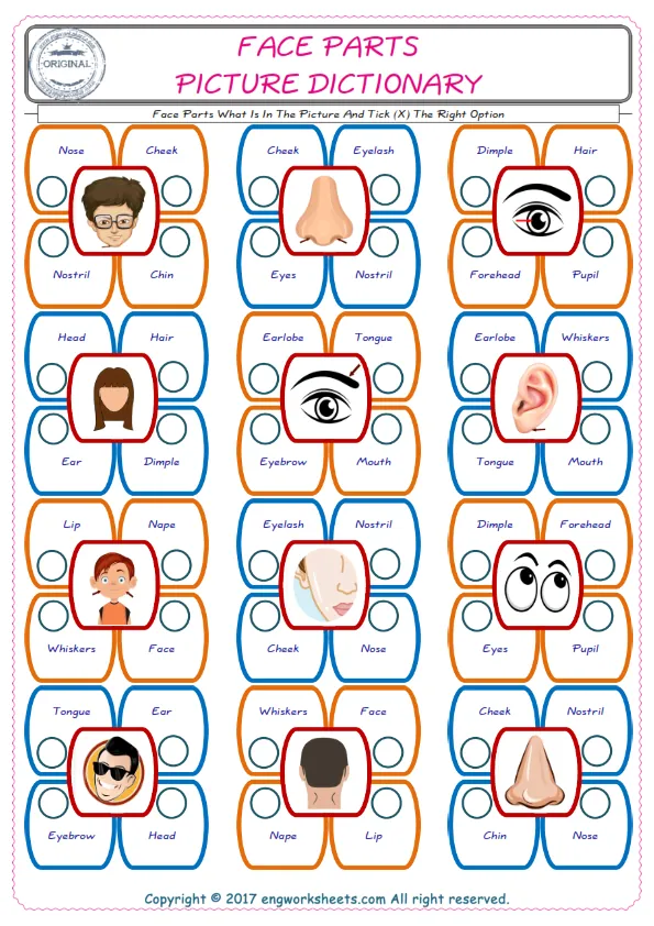 check the picture, mark the correct option amongst the given Face Parts words English worksheet for kids Worksheet Preview