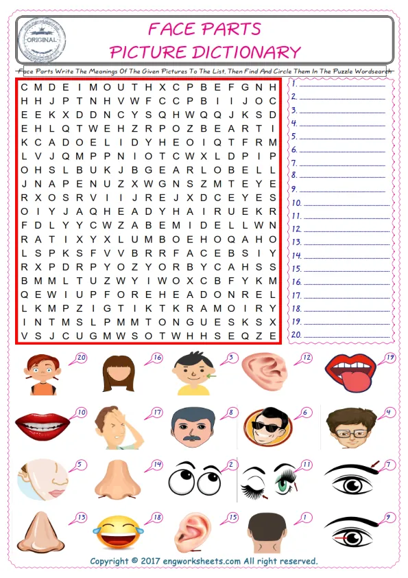 For kids, check the picture of Face Parts find, and write the word and find it in the word puzzle ESL printable worksheet. Worksheet Preview