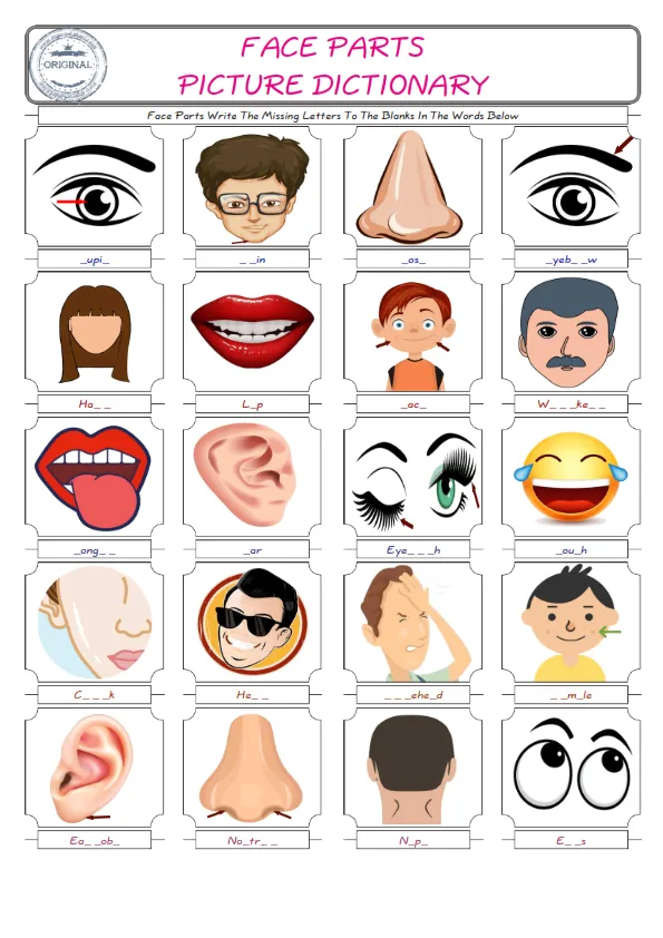 Face Parts Words English worksheets For kids, the ESL Worksheet for finding and typing the missing letters of Face Parts Words Worksheet Preview
