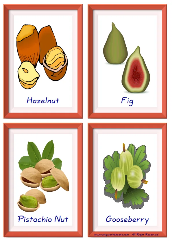 Quarter page ESL Flashcard together with words containing Fruits picture for kids and teachers.