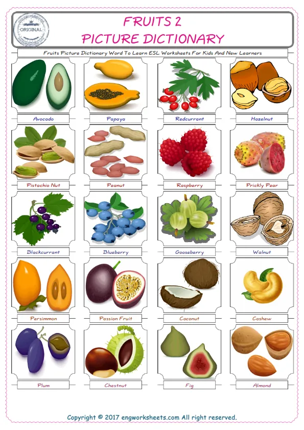 Fruits English Worksheet for Kids ESL Printable Picture Dictionary Worksheet Preview