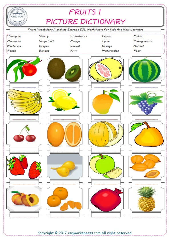 Fruits for Kids ESL Word Matching English Exercise Worksheet. Worksheet Preview