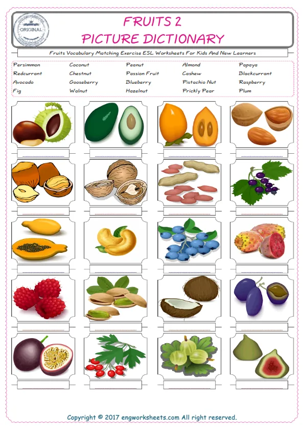 Fruits for Kids ESL Word Matching English Exercise Worksheet. Worksheet Preview