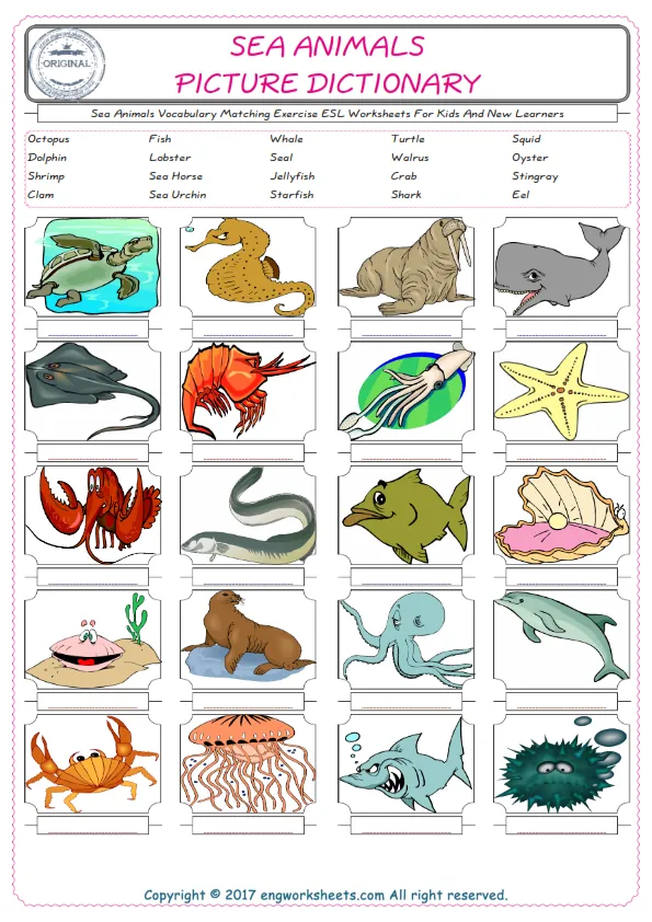 Sea Animals for Kids ESL Word Matching English Exercise Worksheet. Worksheet Preview