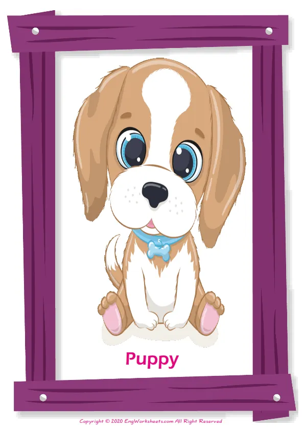 Baby Animals ESL Printable Unscramble the Words Worksheet.