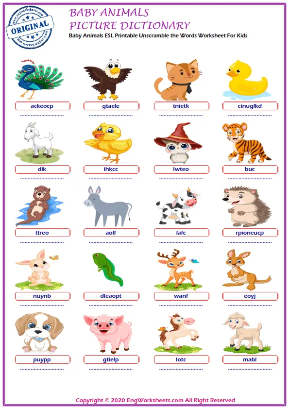 Baby Animals ESL Printable Picture Dictionary For Kids. Write the Words in the Word Bank in the Correct Place in the Word List.