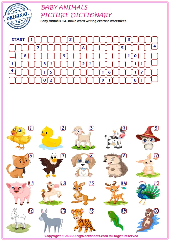 Wordless Baby Animals vocabulary worksheet with two images per page