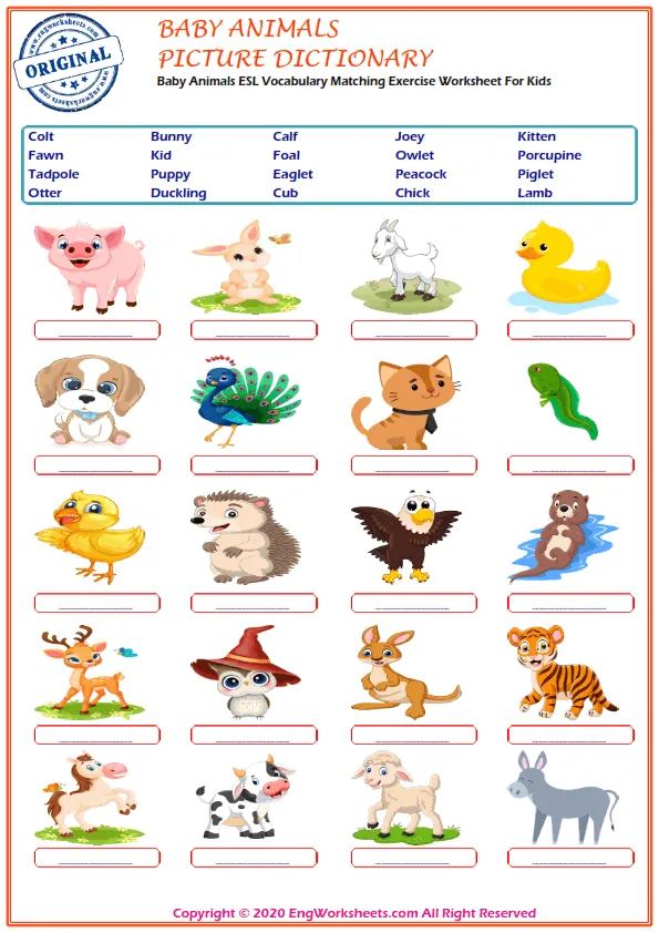 Baby Animals ESL Printable Picture Dictionary For Kids. Write the Numbers in the Word List Next to the Pictures.