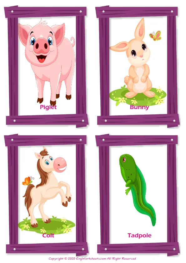 Baby Animals ESL Writing Practice Worksheet for Missing Words.