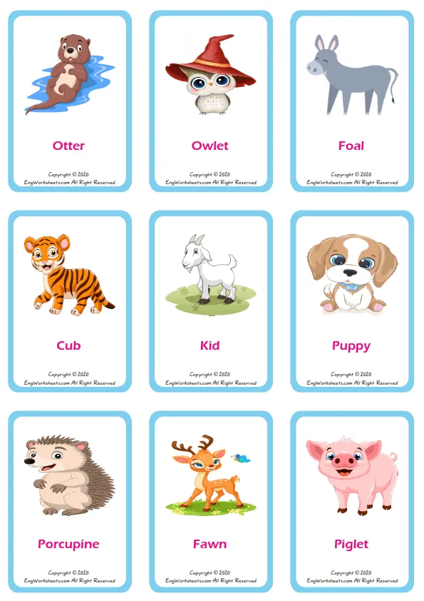 Baby Animals ESL Printable Picture Dictionary Worksheet For Kids