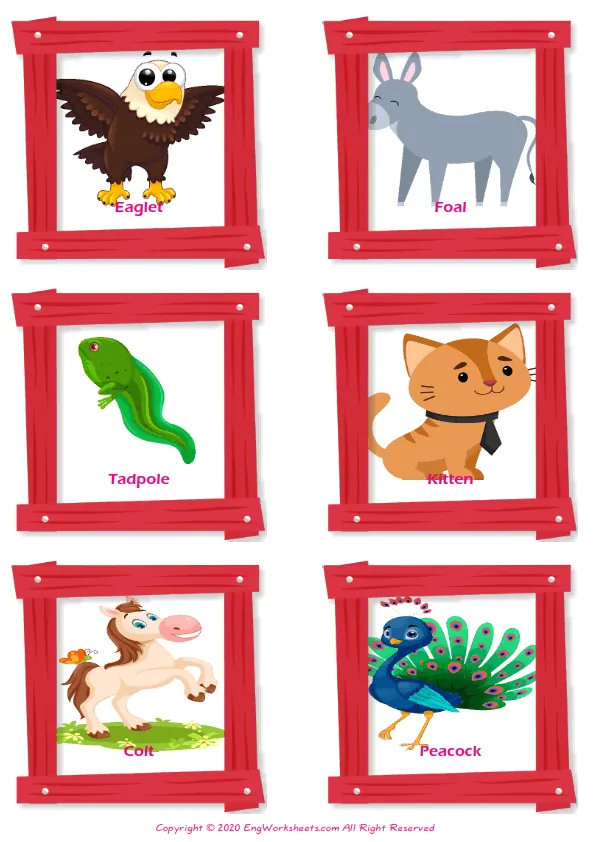 Baby Animals ESL Printable Matching Exercise Worksheets For Kids