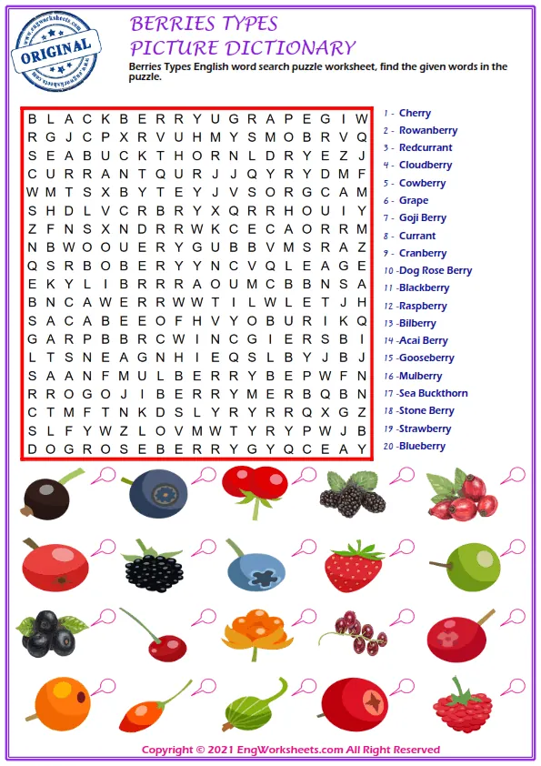 Berries Types English word search puzzle worksheet, find the given words in the puzzle. Worksheet Preview