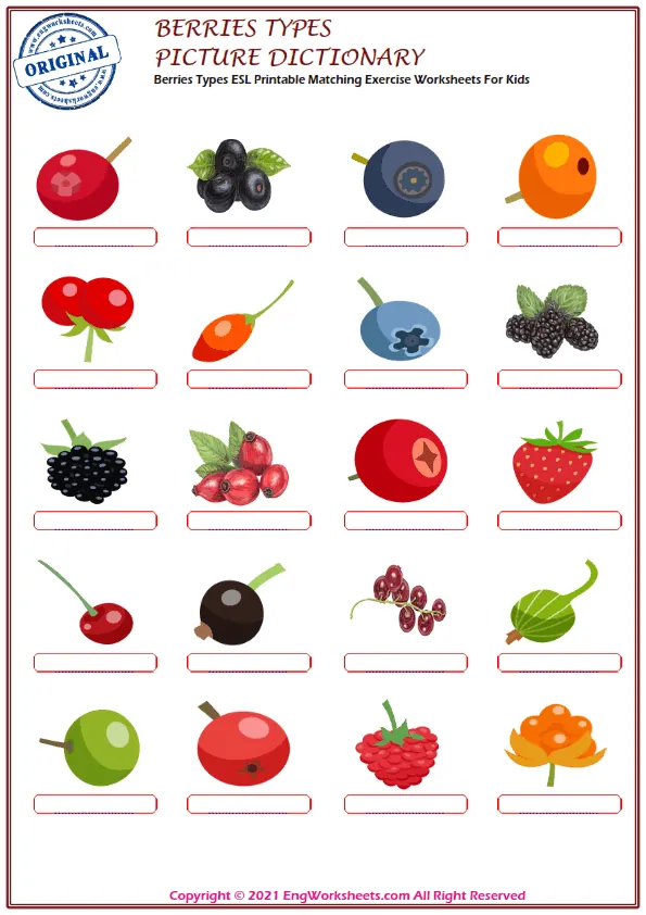 Berries Types ESL Printable Matching Exercise Worksheets For Kids Worksheet Preview