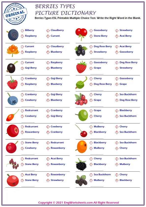 Berries Types ESL Printable Multiple Choice Test. Write the Right Word in the Blank. Worksheet Preview