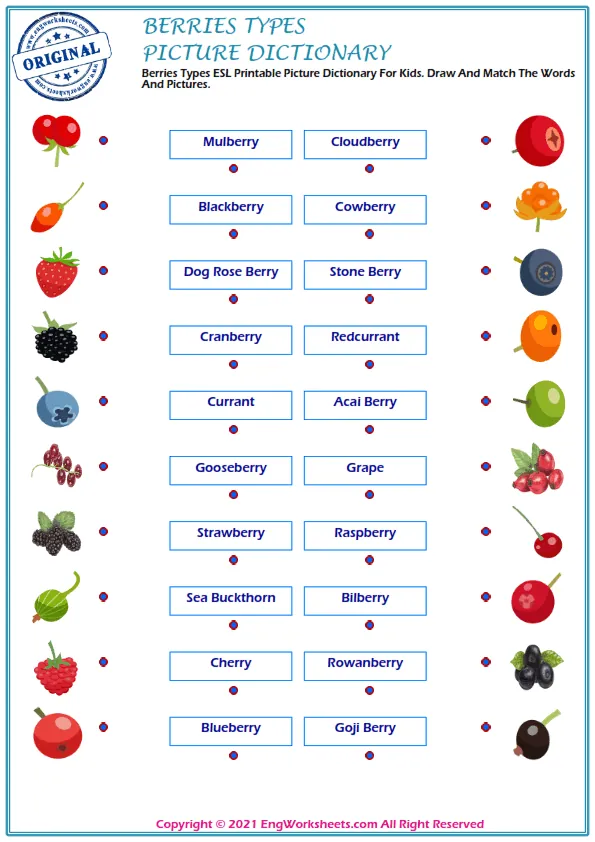 Berries Types ESL Printable Picture Dictionary For Kids. Draw And Match The Words And Pictures. Worksheet Preview